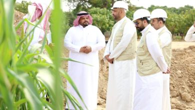 صورة «ريف» يدعم مزارعي «البعلية» بـ 36 مليون ريال  أخبار السعودية
