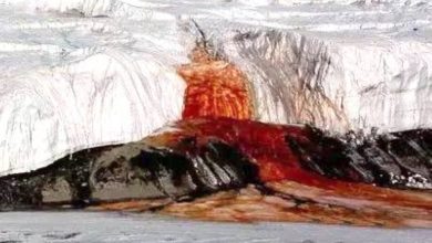 صورة شلالات من الدم في القطب الجنوبي  أخبار السعودية
