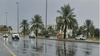 صورة أمطار رعدية ورياح نشطة على عدة مناطق