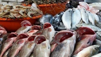 صورة 81 جنيها للبلطي.. استقرار أسعار السمك والمأكولات البحرية بسوق العبور اليوم