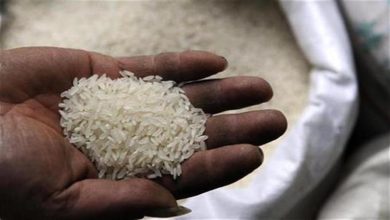 صورة تعرف على أسعار الأرز والسكر واللحوم في الأسواق اليوم الاثنين (موقع رسمي)