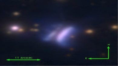 صورة صورة اليوم.. ساندويتش دراكولا على بعد 980 سنة ضوئية في الفضاء