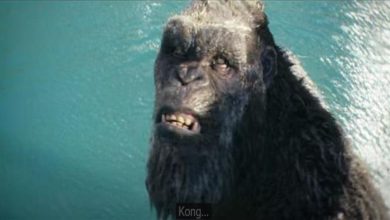 صورة أهرامات الجيزة بالإعلان الرسمي لفيلم الأكشن “Godzilla X Kong:The New Empire”