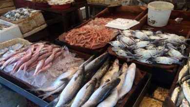 صورة انخفاض أسعار السمك المكرونة والسبيط وارتفاع الكابوريا بسوق العبور اليوم