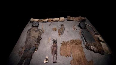 صورة بالصور.. 7 مومياوات تكشف أسرار العالم القديم بينها 2 من مصر