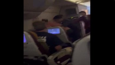 صورة أثناء تحليقها.. راكب يتعدى على مضيفة طيران على متن طائرة ( فيديو)