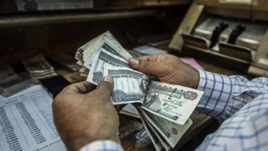 صورة «النقد الدولي»: تعدد أسعار الصرف في مصر كارثي  أخبار السعودية