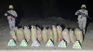 صورة حرس الحدود بعسير يحبط تهريب 240 كيلوغراما من نبات القات المخدر  أخبار السعودية
