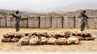 صورة حرس الحدود بجازان يحبط تهريب (390) كيلوغراماً من نبات القات المخدر  أخبار السعودية