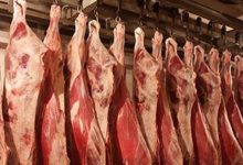 صورة تراجع أسعار اللحوم والدواجن وارتفاع الفول والعدس بالأسواق اليوم الخميس (موقع رسمي)