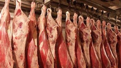 صورة “بلدي وكولومبي”.. أسعار اللحوم الحمراء والقائم بالأنواع قبل العيد