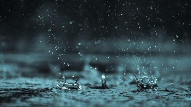 صورة مشروع المستقبل.. الإمارات تحارب العطش بالأمطار الصناعية