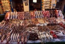 صورة بعد حملات المقاطعة.. أسعار الأسماك بسوق العبور اليوم السبت