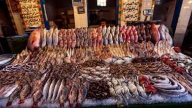 صورة أسعار المأكولات البحرية والأسماك بسوق العبور السبت