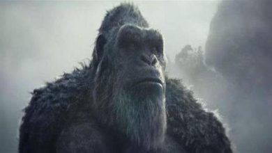 صورة عرض فيلم “Godzilla X Kong: The New Empire” في مصر أبريل المقبل