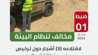 صورة «الأمن البيئي» تضبط مخالفاً لاقتلاعه الأشجار دون ترخيص في منطقة تبوك  أخبار السعودية