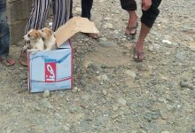 صورة بلدية «خميس مشيط» تنفي صحة ما يتم تداوله عن لحوم الكلاب  أخبار السعودية
