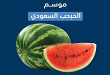 صورة «البيئة»: 99% اكتفاء ذاتي من محصول البطيخ في السعودية.. والإنتاج 624 ألف طن سنوياً  أخبار السعودية