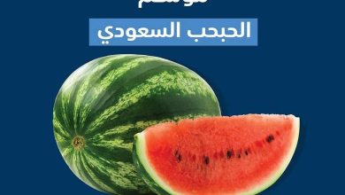صورة «البيئة»: 99% اكتفاء ذاتي من محصول البطيخ في السعودية.. والإنتاج 624 ألف طن سنوياً  أخبار السعودية