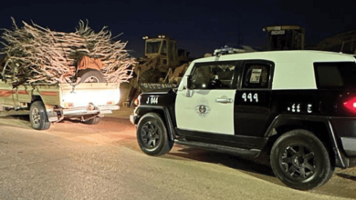 صورة دوريات الأمن بمنطقة الجوف تضبط مخالفين لنظام البيئة