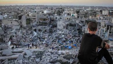 صورة مقررة أممية: إسرائيل لا تريد شهودا على الإبادة الجماعية