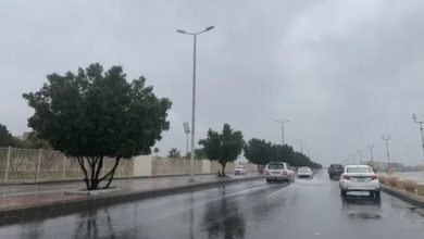 صورة أمطار رعدية وضباب.. المركز الوطني للأرصاد يكشف تفاصيل حالة الطقس اليوم الأربعاء 17 رمضان 1445