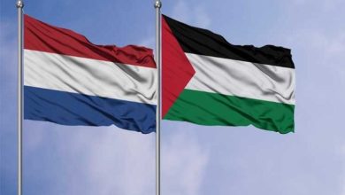 صورة هولندا: مجلس الدولة يقرر إعادة النظر بطلبات لجوء الفلسطينيين
