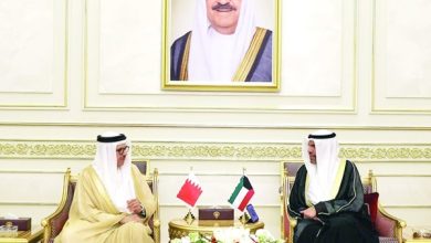 صورة وزير الخارجية بحث مع نظيرة البحريني المستجدات الإقليمية والدولية