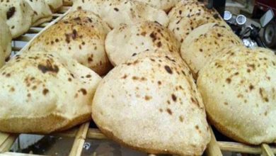 صورة مصر تعتزم خفض أسعار الخبز غير المدعم  40%