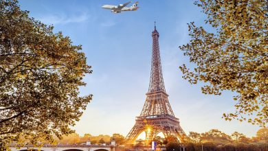 صورة «الاتحاد للطيران» تبدأ عملياتها التشغيلية إلى باريس أول نوفمبر
