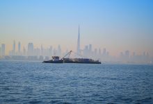 صورة حمدان بن محمد يدشن مشروع “مشد دبي” بإطلاق الدفعة التمهيدية من وحدات الشعاب البحرية