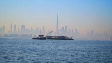 صورة حمدان بن محمد يدشن مشروع “مشد دبي” بإطلاق الدفعة التمهيدية من وحدات الشعاب البحرية