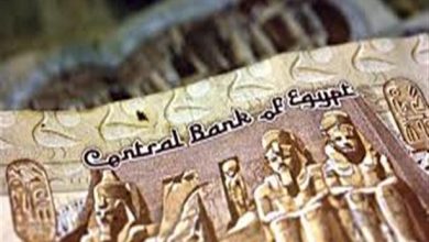 صورة كيف انعكس تعويم الجنيه على شركات القطاع الخاص في مصر؟