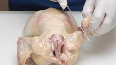 صورة هذا ما يحدث لك إذا تناولت “عظام الدجاج”.. فوائد لا تتوقعها