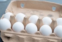 صورة ارتفاع أسعار البيض البلدي اليوم الثلاثاء في الأسواق (موقع رسمي)