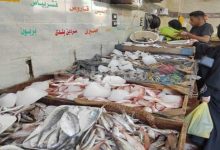 صورة أسعار الأسماك والمأكولات البحرية في سوق الجملة اليوم الثلاثاء