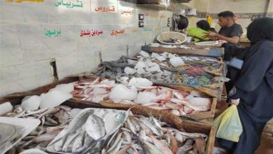 صورة تعرف على أسعار الأسماك والمأكولات البحرية اليوم الجمعة