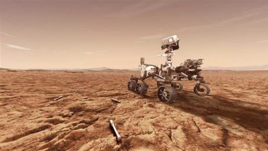 صورة ناسا تستعد للإعلان الكبير عن عملية إنقاذ عينات المريخ
