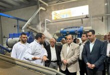 صورة وزير التجارة يتفقد مصنع بورسعيد ستار لإنتاج الأسماك المدخنة