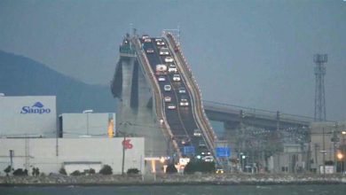 صورة أخطر 7 جسور في العالم.. هل تجرؤ على قيادة السيارة فوق إحداها؟