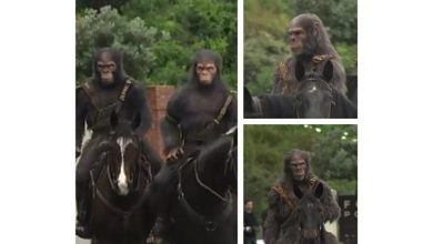 صورة “قرود” تمتطي أحصنة في شوارع كاليفورنيا ترويجًا لفيلم “Kingdom of the Planet of the Apes” (صور)
