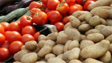 صورة تراجع أسعار الطماطم وارتفاع البطاطس بسوق العبور اليوم الأربعاء