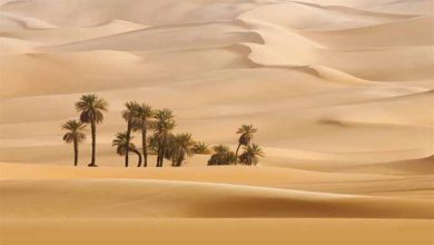 صورة 18 صورة صادمة.. الأماكن الأكثر جفافا في العالم بينها اثنان من مصر