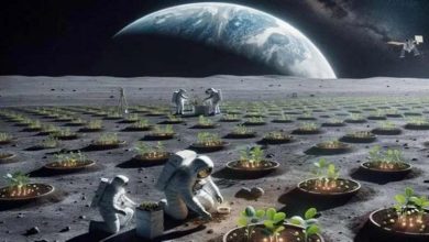 صورة ناسا تعلن.. أول مشروع للزراعة على القمر