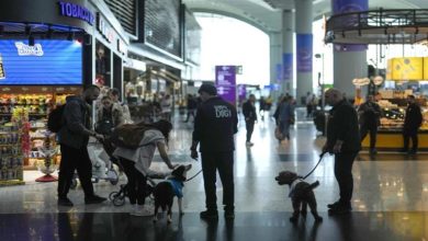 صورة مشروع تجريبي جديد في مطار إسطنبول.. 5 كلاب لتهدئة المسافرين