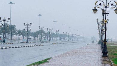 صورة «الدفاع المدني» يحذر: أمطار رعدية حتى الخميس  أخبار السعودية