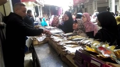 صورة «الأسماك المملحة» تغزو البيوت المصرية في العيد.. و«مركز السموم» يتأهب  أخبار السعودية
