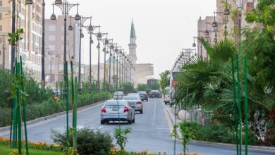 صورة المدينة المنورة تتقدم 11 مرتبة عالمياً في مؤشر IMD للمدن الذكية 2024  أخبار السعودية