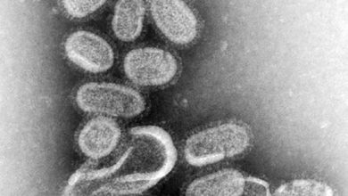 صورة الأنفلونزا.. العامل الأكثر خطورة وبائياً  أخبار السعودية