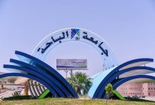 صورة جامعة الباحة: وظائف أكاديمية شاغرة على درجة «معيد» في 27 تخصصًا  أخبار السعودية